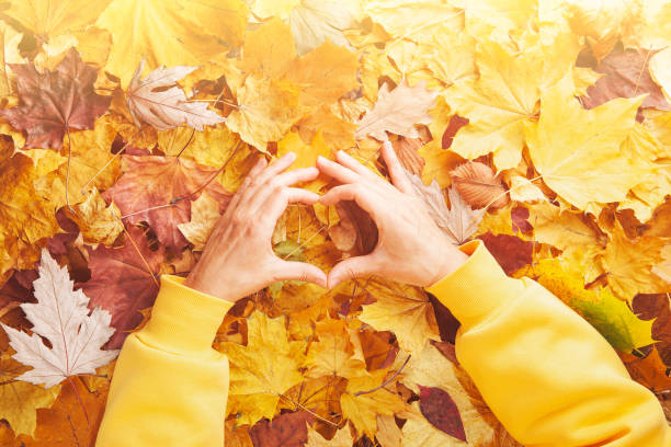 Tapestry Trust’s Autumn Harvest